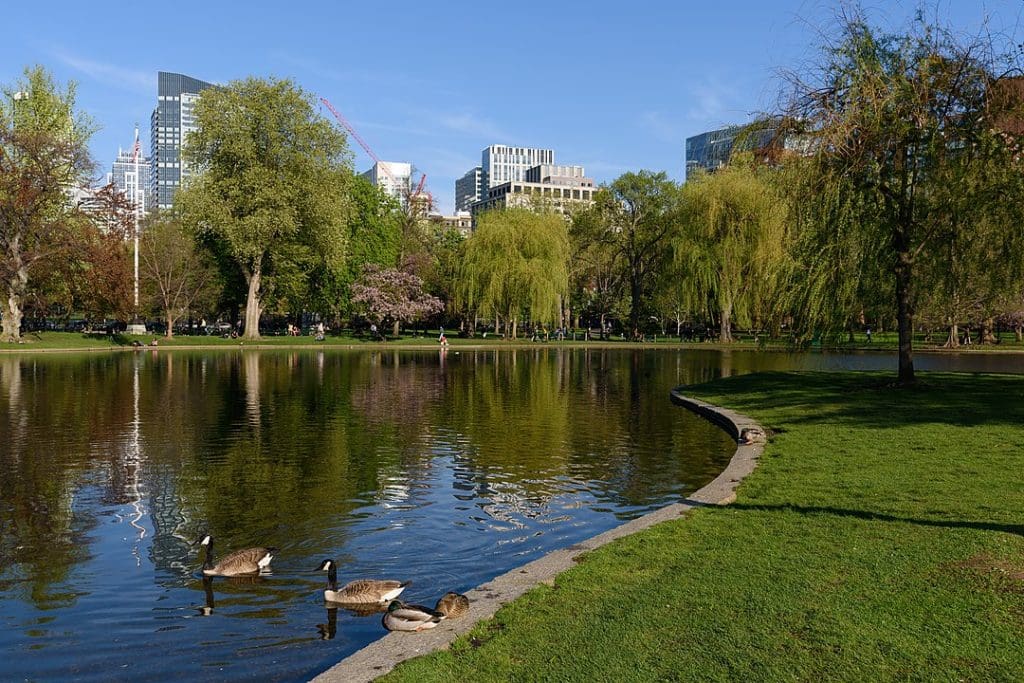 Boston-Public-Garden